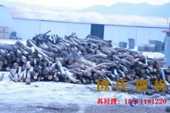 影響運動木地板價格的具體因素是什么？