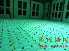 北京歐氏專業的籃球館運動木地板廠家讓你安心運動