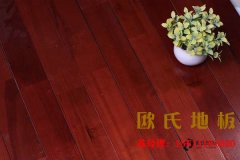 怎樣選購籃球木地板？